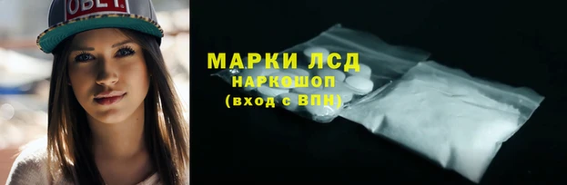 трава Армянск