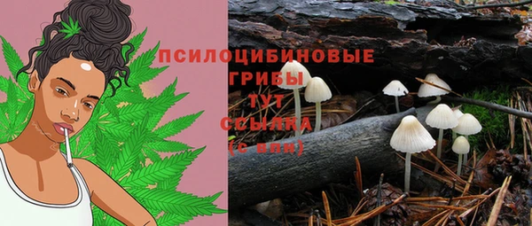 кокс Аркадак