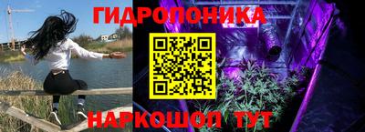 твердый Можга