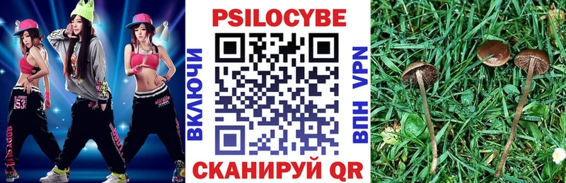 Галлюциногенные грибы GOLDEN TEACHER  Чайковский 
