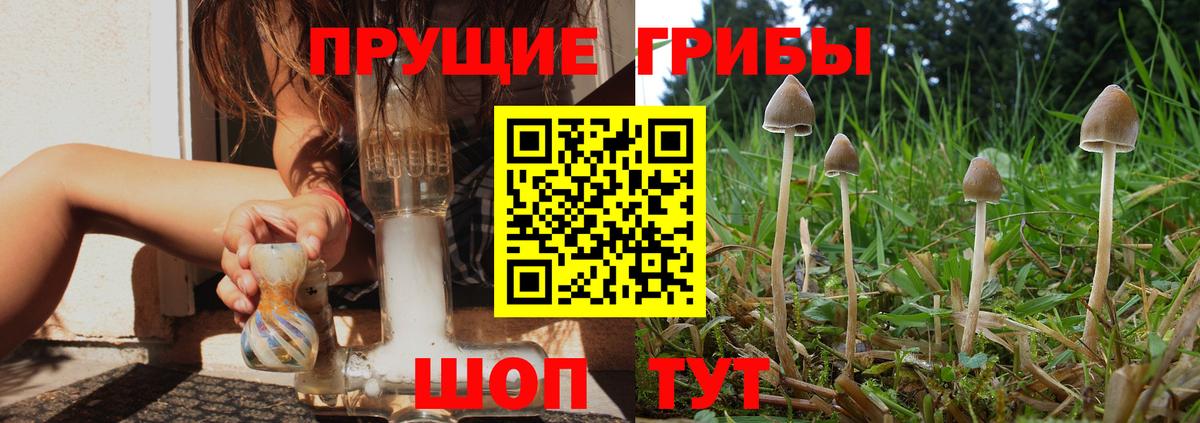 Галлюциногенные грибы ЛСД  Вход с VPN  Чайковский 